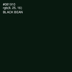 #081910 - Black Bean Color Image